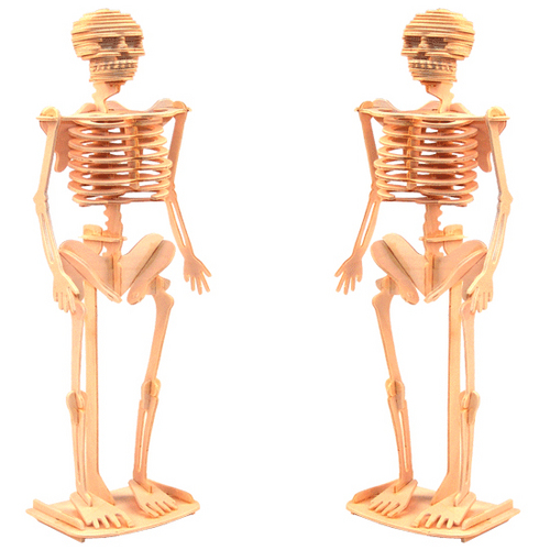 3D원목조립모형 만들기(사람,뼈구조, 인체, 3P)-크기 37.5cm / 중급형